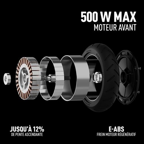 Trottinette électrique Ninebot Segway E2 Plus II E 300 W Noir et Gris – Image 5