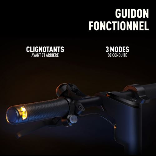 Trottinette électrique Ninebot Segway KickScooter F2E 800 W Noir et Gris avec clignotants – Image 3