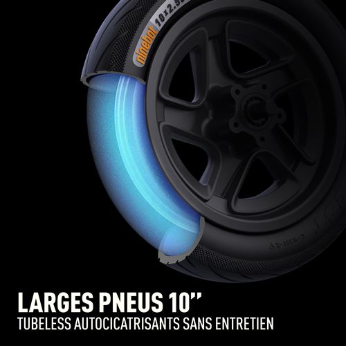 Trottinette électrique Ninebot Segway KickScooter F2E 800 W Noir et Gris avec clignotants – Image 4
