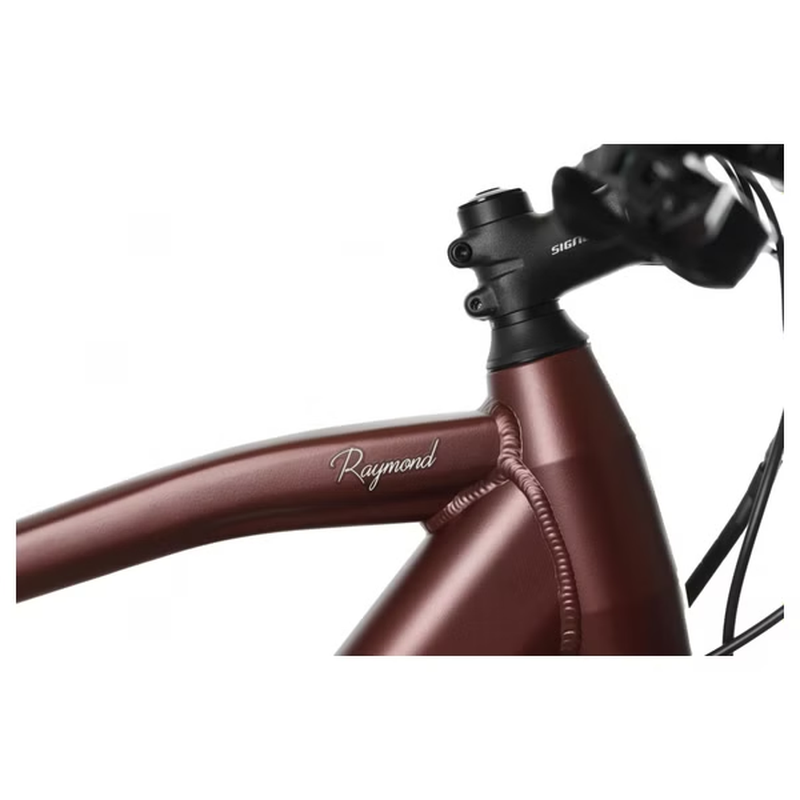Vélo de Ville Électrique Bicyklet Raymond Shimano Acera 9V 504 Wh 27 5'' – Image 7